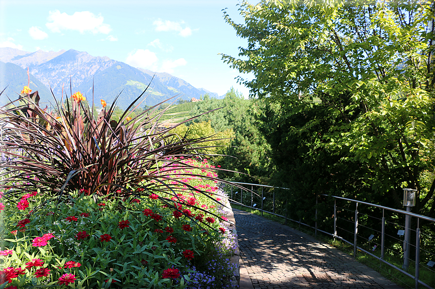 foto Giardini Trauttmansdorff - Boschi del Mondo